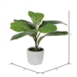 Vickerman 11