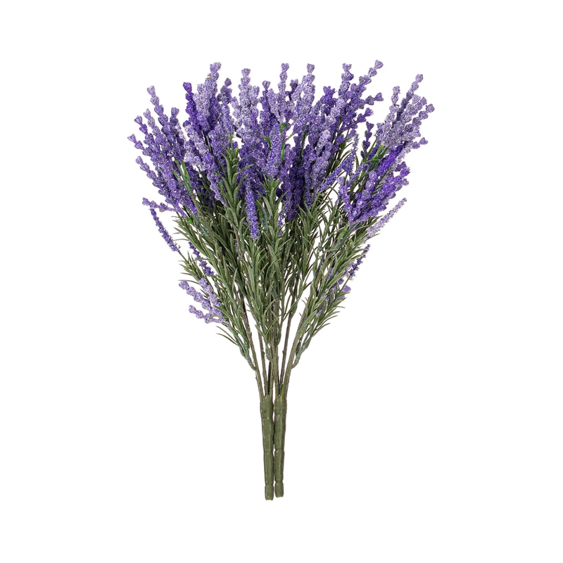 Vickerman 19