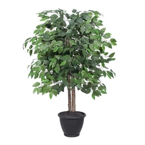 Vickerman 4' Artificial Ficus Bush. Round Gray Plastic Container.