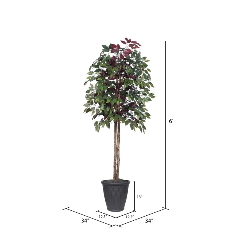 Vickerman 6' Artificial Capensia Tree. Gray Round Plastic Container.