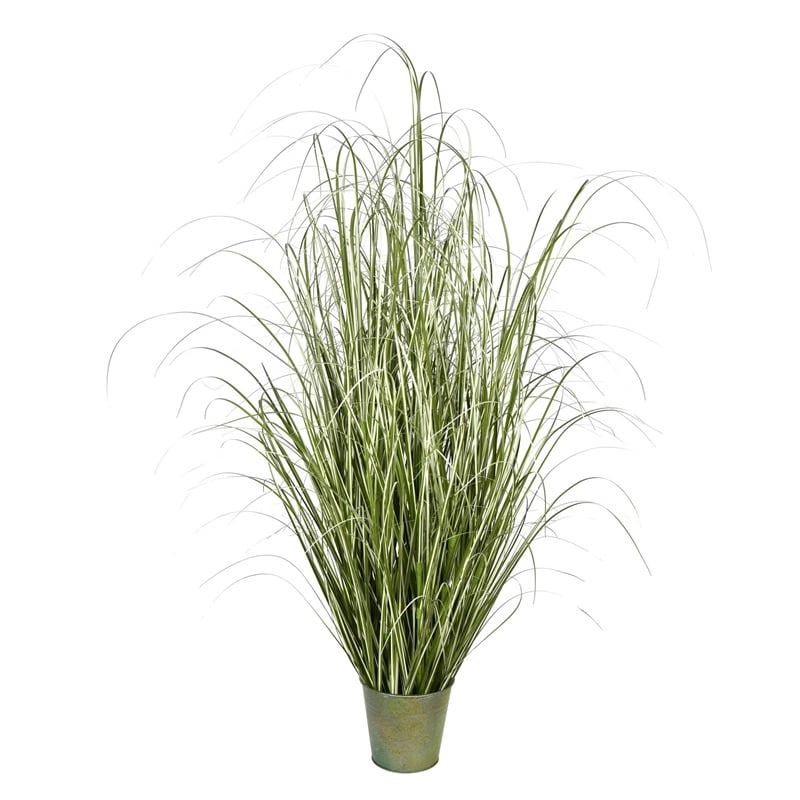 Vickerman 59