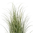 Vickerman 72