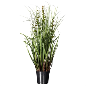 Vickerman 24&quot Artificial Potted Green Grass and Eucalyptus.
