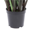 Vickerman 24
