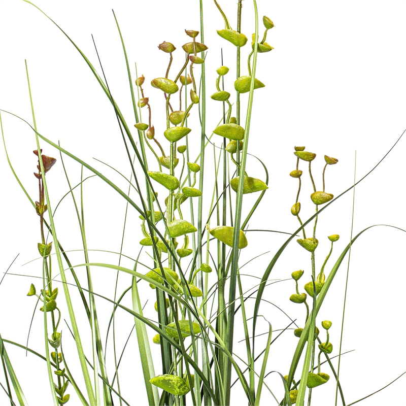 Vickerman 36