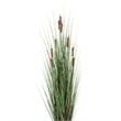 Vickerman 60