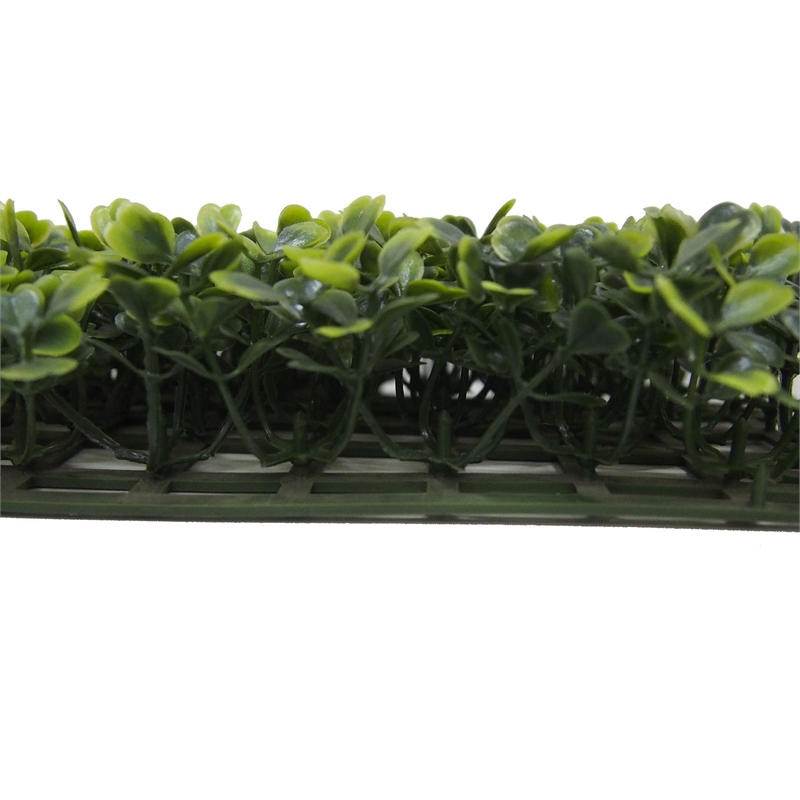 Vickerman 50