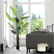 Vickerman 7' Artificial Potted Travellers Palm Tree.