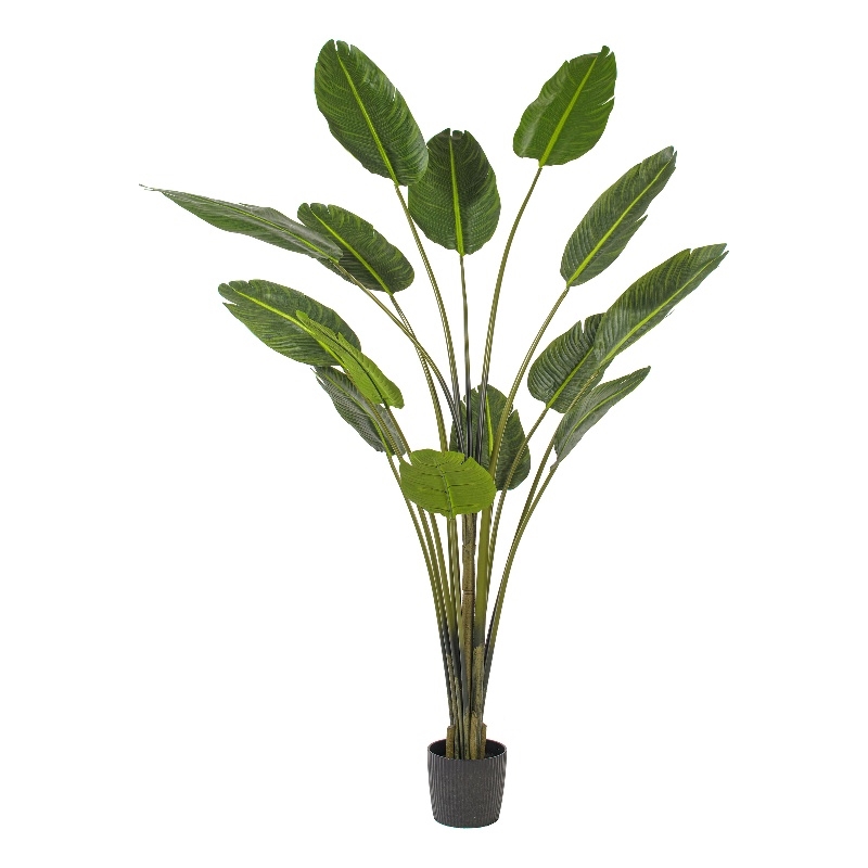 Vickerman 7' Artificial Potted Travellers Palm Tree.