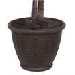 Vickerman 4' Artificial Green Ficus Bush in Brown Plastic Pot