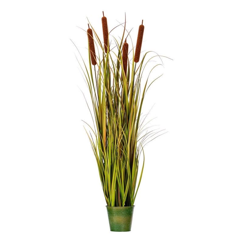 Vickerman 48