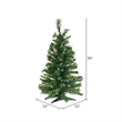 Vickerman 3' x 22