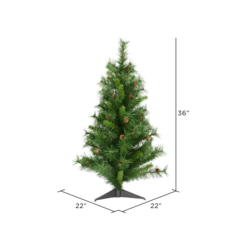 Vickerman 3' x 22