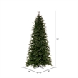 Vickerman 5.5' x 36