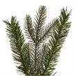Vickerman 36