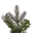 Vickerman 36