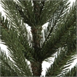 Vickerman 36-42-48