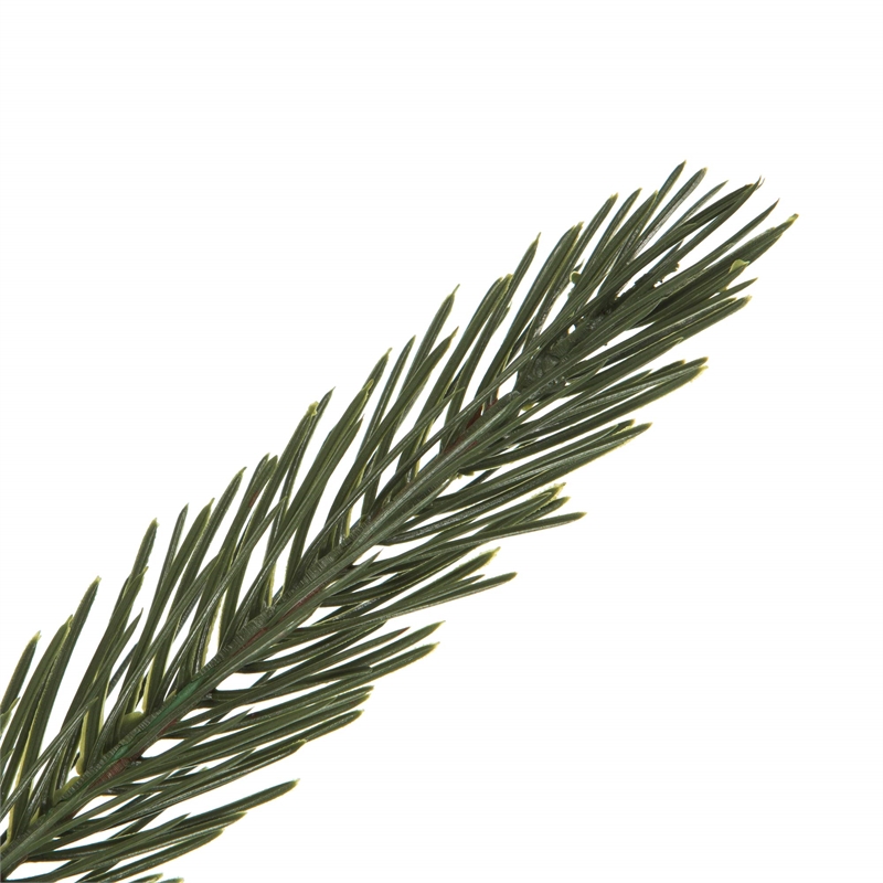 Vickerman 36-42-48
