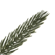 Vickerman 36-42-48