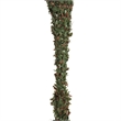 Vickerman 36-42-48