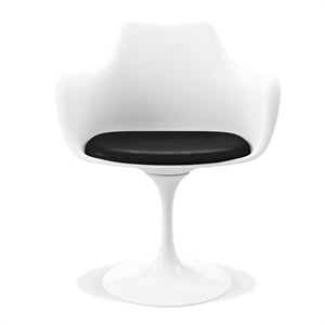 Aron Living Rose 18&quot Mid-Century Plastic and Metal Armchairs in Black