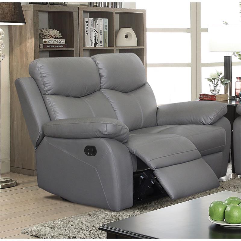 Bella Esprit 2-piece Solid Wood and Genuine Leather Match Sofa Set in Gray