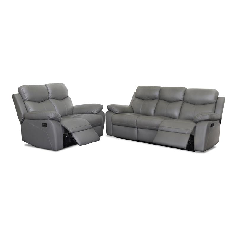 Bella Esprit 2-piece Solid Wood and Genuine Leather Match Sofa Set in Gray
