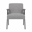 Gray Liden Modern Arm Chair