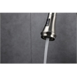 Lexora Home Garbatella Brass Kitchen Faucet with Sprayer in Brushed Nickel