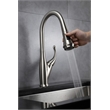 Lexora Home Garbatella Brass Kitchen Faucet with Sprayer in Brushed Nickel
