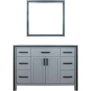 Lexora Home Ziva 48&quot Single Vanity with Mirror in Dark Gray