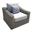 Tulum Two-Tone Dark Beige Aluminum Frame Arm Chair in Silver Cushions