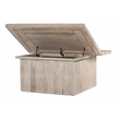 Sarah Solid Wood Storage Cocktail/Coffee Table in Brushed Ivory Finish