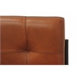Kurtz Leather Upholstered Side Chair with Cast Iron Frame in Mahogany