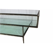 Orlando Melvin Cocktail Table with Glass Top and Forged Iron Legs in Brass