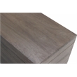 Anaheim Amanpour Solid Wood Storage Chest in Ash