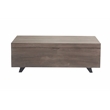 Anaheim Amanpour Solid Wood Storage Chest in Ash