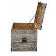 Golden Mateo Solid Wood Trunk End Table in Gray