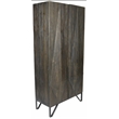 Aliso Holt Reclaimed Pine Wood 2-Door Tall Cabinet in Brown on Iron Base