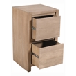 Argyle 2-Drawer File Cabinet Modern Light Ash Ivory Finish Reclaimed Solid Wood