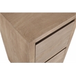 Argyle 2-Drawer File Cabinet Modern Light Ash Ivory Finish Reclaimed Solid Wood