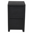 Argyle 2-Drawer File Cabinet Modern Graphite Black Finish Reclaimed Solid Wood