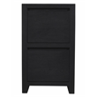 Argyle 2-Drawer File Cabinet Modern Graphite Black Finish Reclaimed Solid Wood