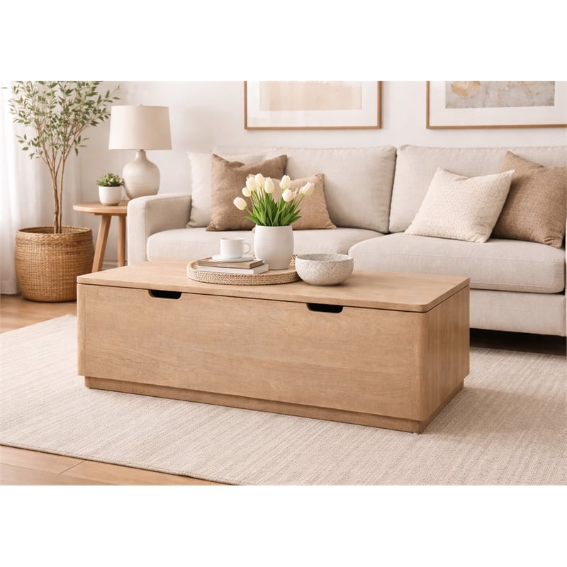 Argyle Storage Bench/Cocktail Table in Modern Light Ash Ivory Finish on Reclaimed Solid Wood