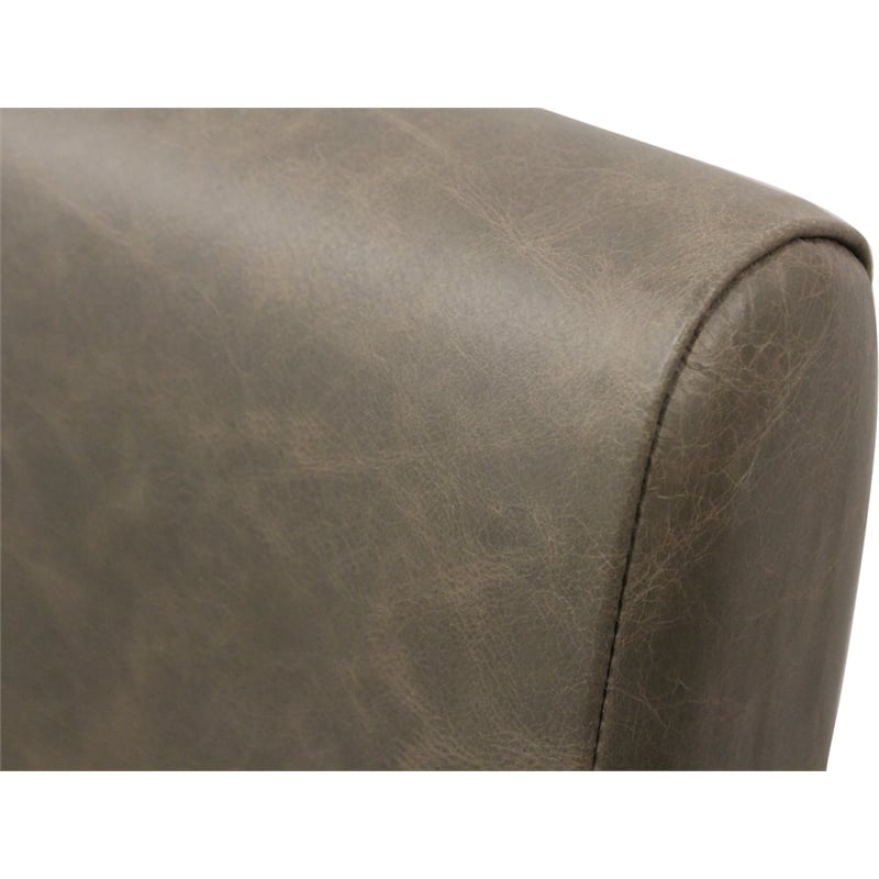Wendy Arm Chair in Modern Gray Leather 2-Piece Set with Iron Base