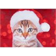 Safdie & Co. Cushion Xmas Sherpa Reversible Festive Kitty