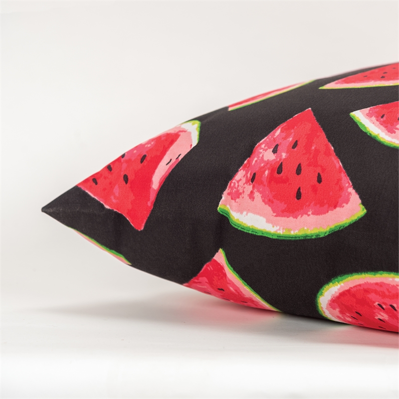 Rizzy Home Watermelon 22