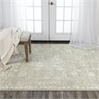 Alora Decor Aurora 9' x 12' Classic/Updated Gray/Beige Hybrid Area Rug