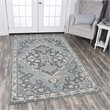 Alora Decor Cascade 5' x 8' Medallion Gray/Lt. Gray/Dk Beige/Blue Gray Area Rug