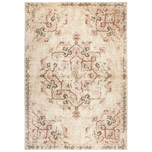 Alora Decor Euphoria 5' x 8' Distress Beige/Gray/Rust/Blue Hybrid Area Rug